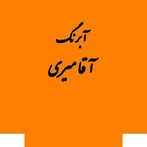 قرص آبرنگ کد 227آقامیری       Orange