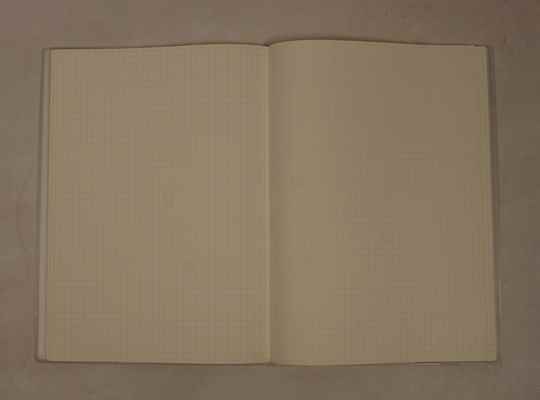 pic-1798661-ccec52ee-b412-48be-9bc8-94caeff53751-1.jpg دفتر شطرنجی 100 برگ ته چسب مجلد B5 صبا - Image 1